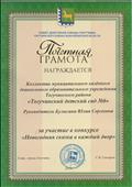 Почетная грамота главы администрации г. Тогучин за участие в конкурсе"Новогодняя сказка в каждый двор" Почетная грамота главы администрации г. Тогучин за участие в конкурсе"Новогодняя сказка в каждый двор"
