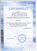 "Бином" Сертификат участника учебно-методического вебинара "Методическое сопровождение работы учителя ИЗО:УМК "Природа и художник" (дошкольный и школьный блок)" "Бином" Сертификат участника учебно-методического вебинара "Методическое сопровождение работы учителя ИЗО:УМК "Природа и художник" (дошкольный и школьный блок)"