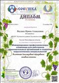 Диплом 2 степени Международная профессиональная олимпиада для работников образовательных организаций и студентов педагогических специальностей "Включенное (инклюзивное) образование: основные аспекты" Диплом 2 степени Международная профессиональная олимпиада для работников образовательных организаций и студентов педагогических специальностей "Включенное (инклюзивное) образование: основные аспекты"